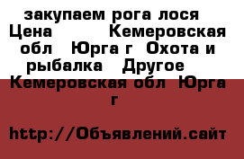 закупаем рога лося › Цена ­ 300 - Кемеровская обл., Юрга г. Охота и рыбалка » Другое   . Кемеровская обл.,Юрга г.